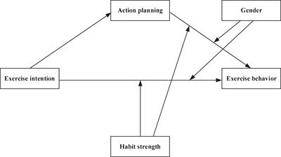 The relationship between exercise intention and behavior of Chinese college students: A moderated mediation model